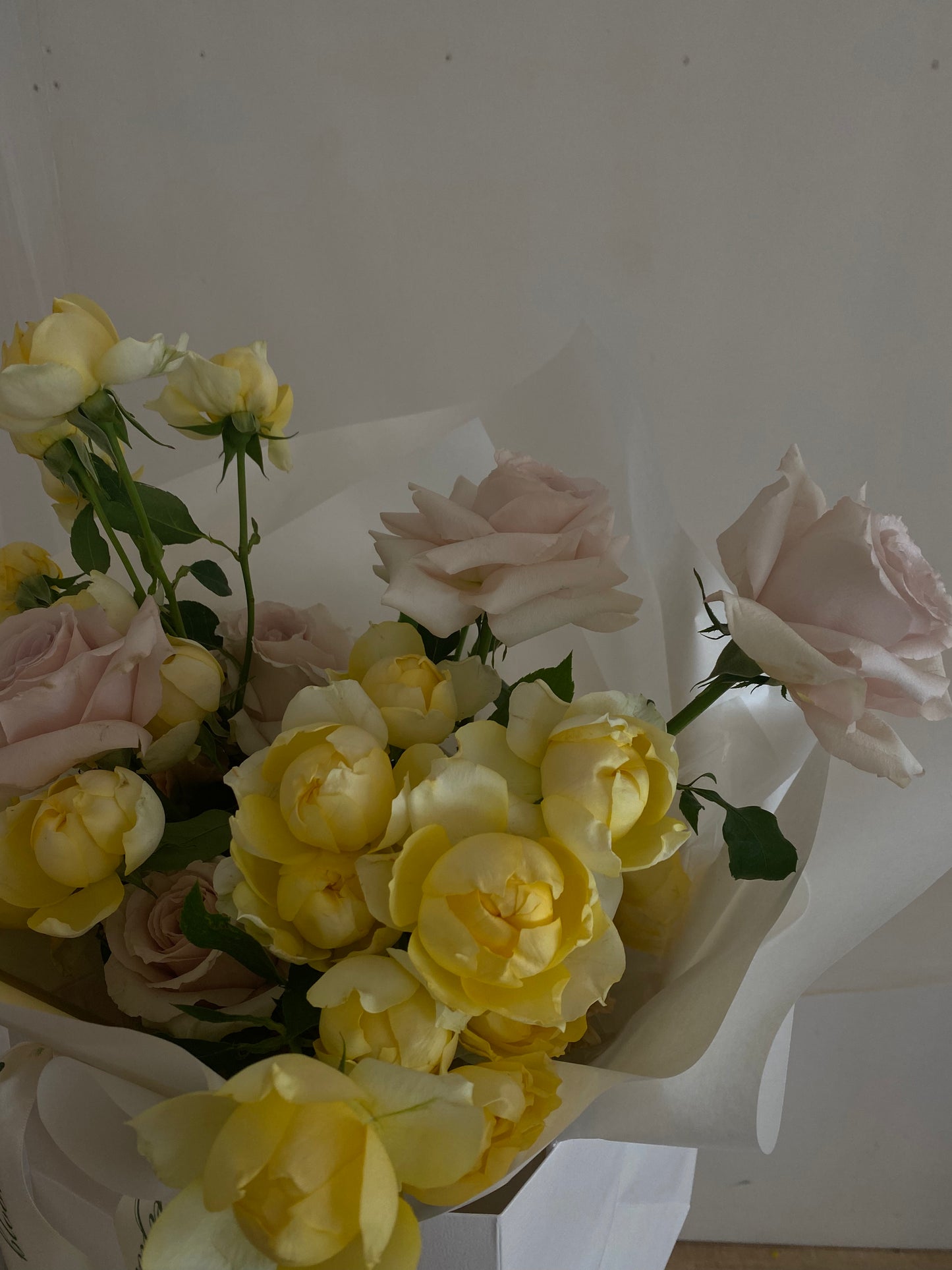 Garden Roses